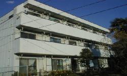 賃貸物件アクセスランキング
